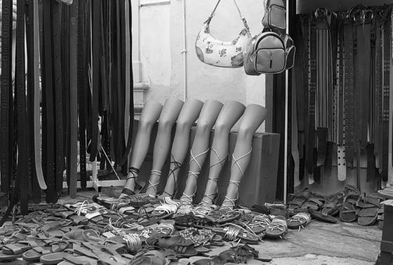 Legs