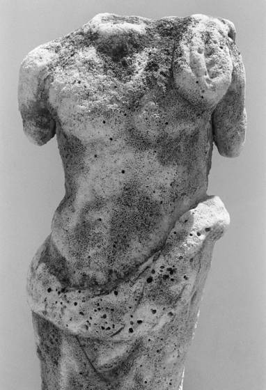Amphibious_torso