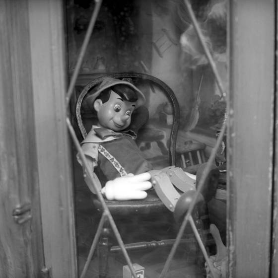 Pinocchio