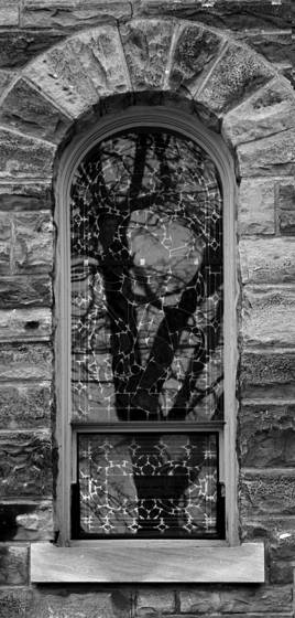 Window