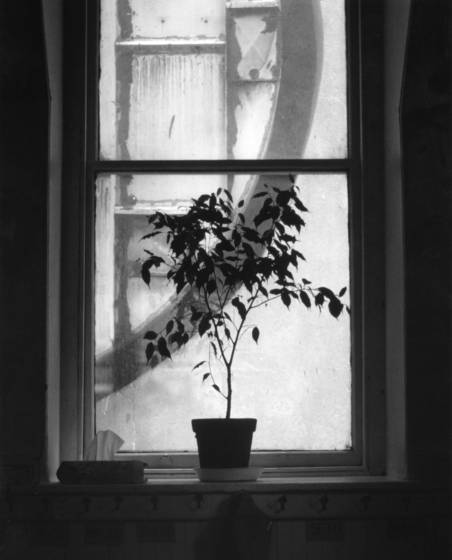School_room_window