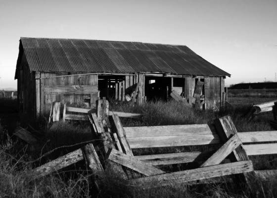 Barn__5