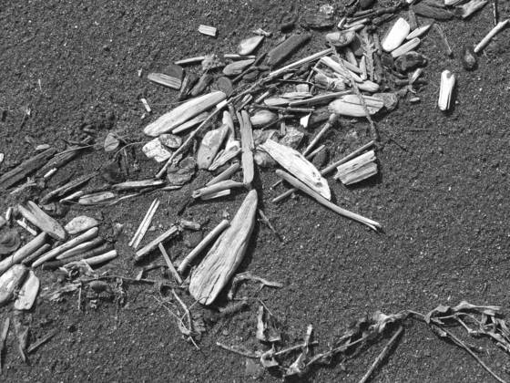 Flotsam