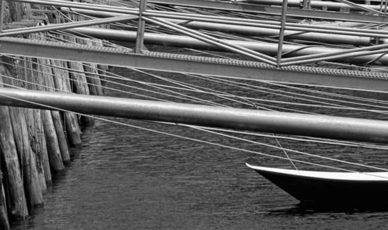 Harbor_lines_i