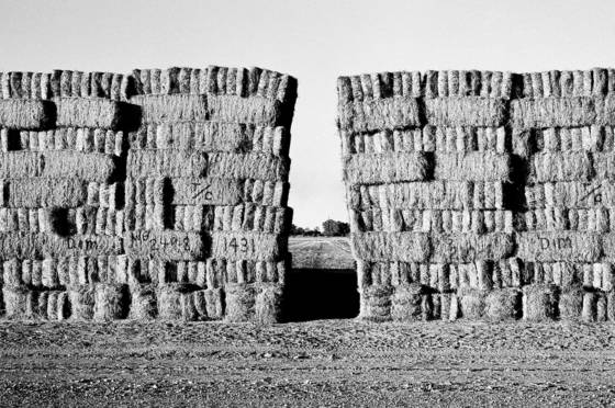 Interstate_8