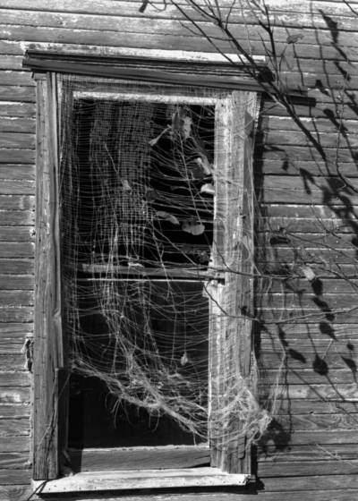 No_one_lives_here_anymore