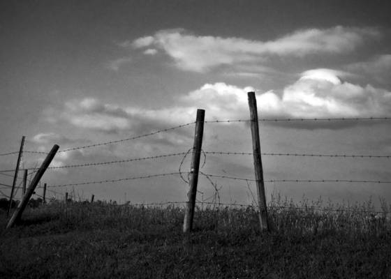 Ca_s_pasture