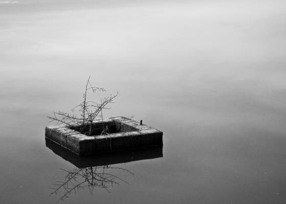 Resilient