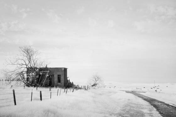 Untitled__2