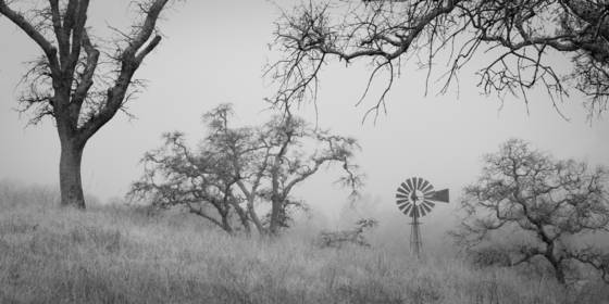 Untitled__4