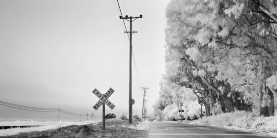 Untitled__6