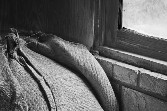 Burlap