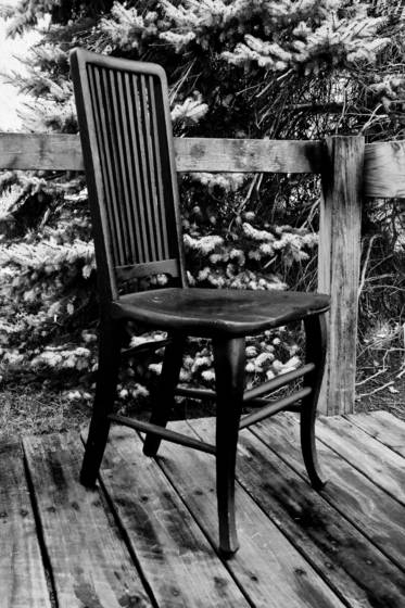 Chair_with_spruce_tree