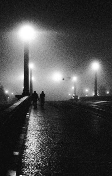 Fog