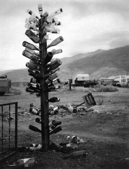 Bottle_tree