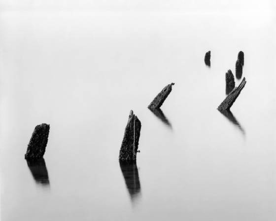 Pier_pilings_and_light
