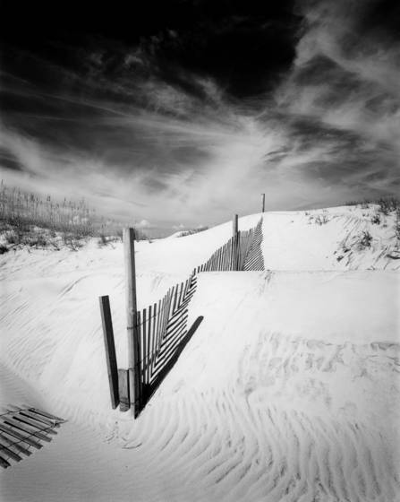 Sand_fence