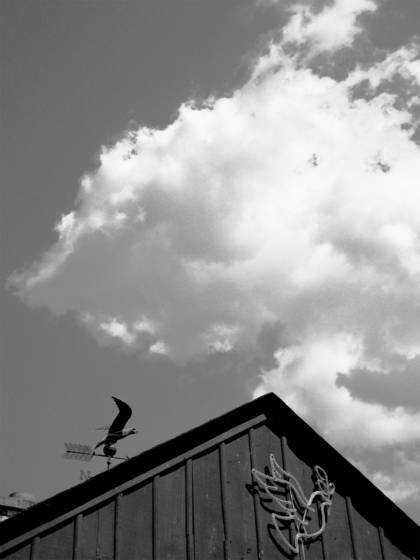 Wish_i_could_fly