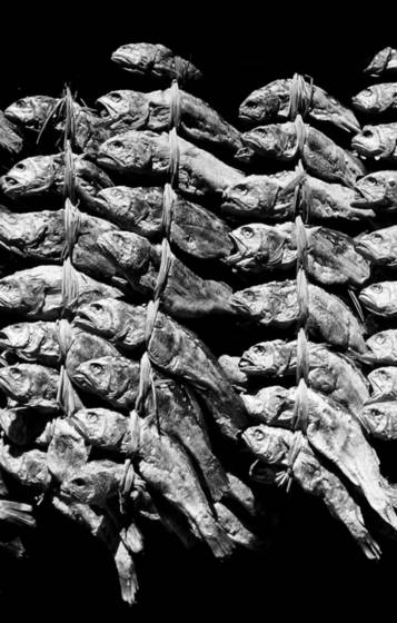 Dried_fish