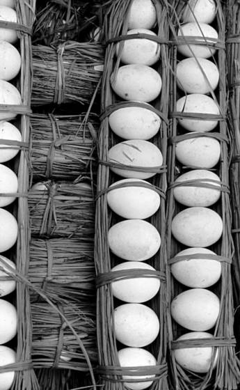 Eggs