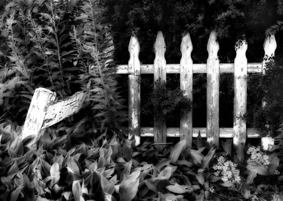 Glowing_fence