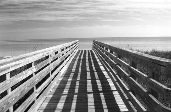 Dock