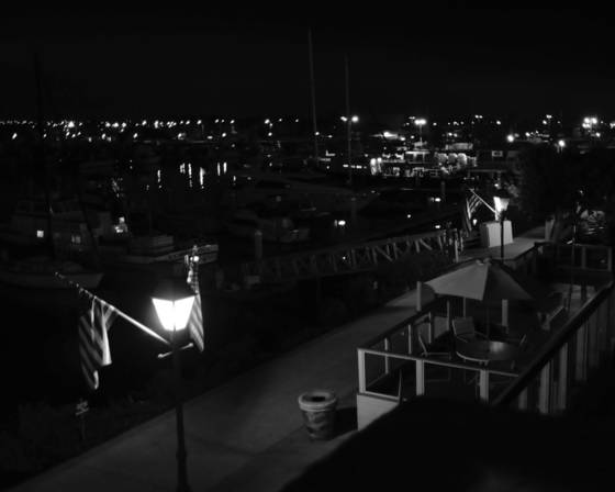 Harbor_nights