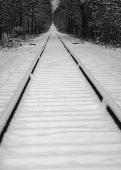 Tracks_in_the_snow