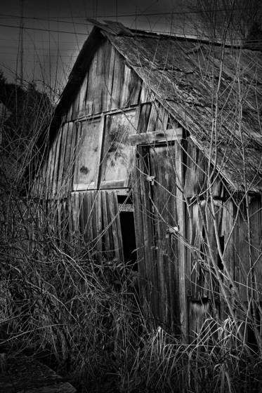 Finn_slough__1
