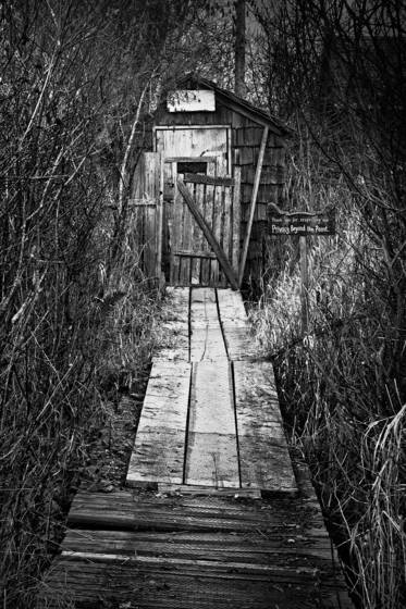 Finn_slough__2