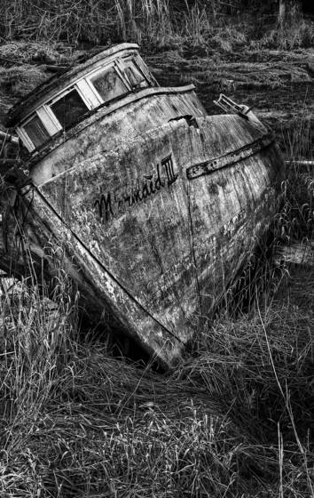 Finn_slough__3