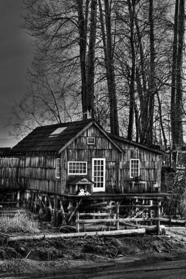 Finn_slough__4