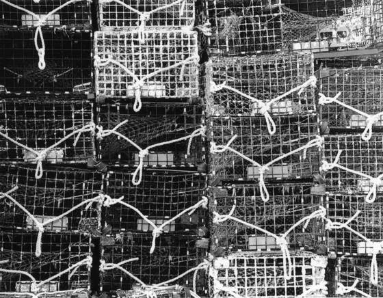 Lobster_traps