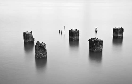 Untitled_5