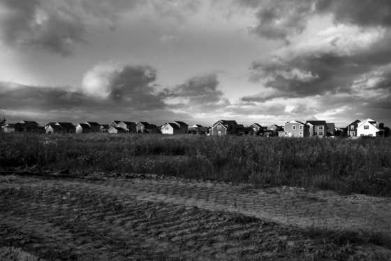 Untitled_3