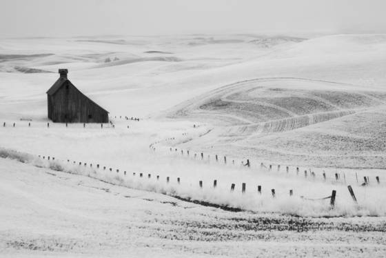 Palouse_barn