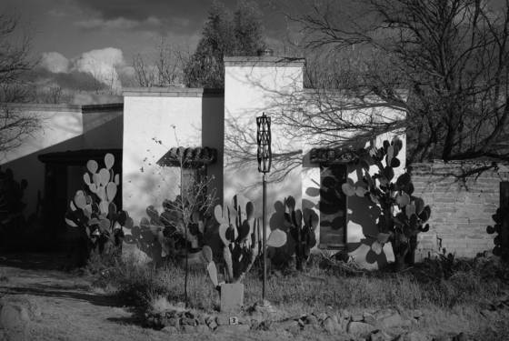 White_house_with_cacti