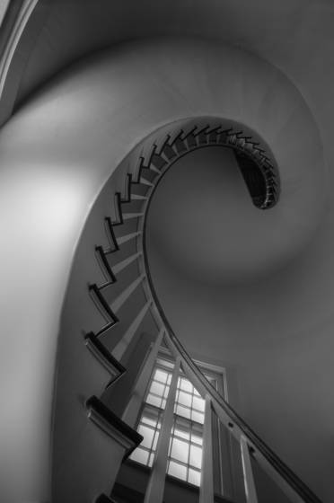 Nautilus