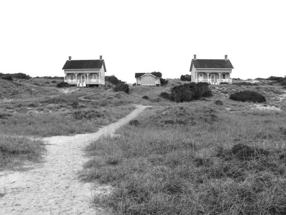 Beach_houses