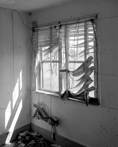 Tattered_blinds