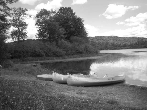 Summer_at_lackawanna_state_park