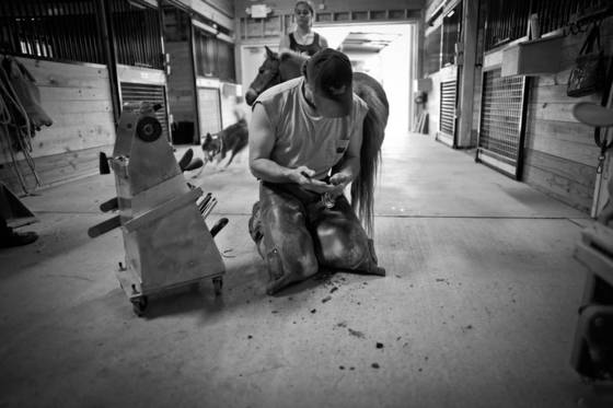 Farrier_1