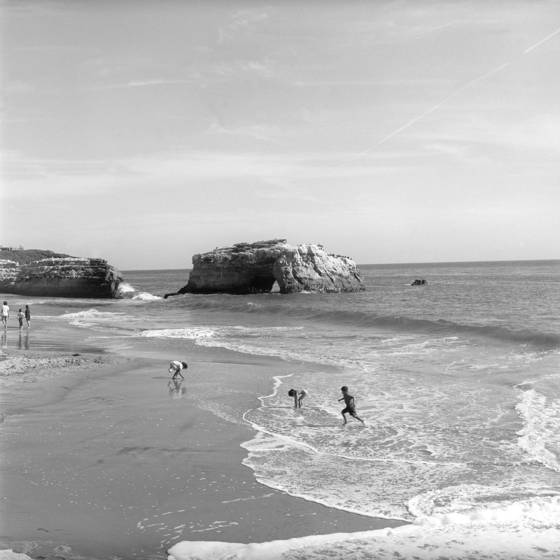 Natural_bridges_state_park