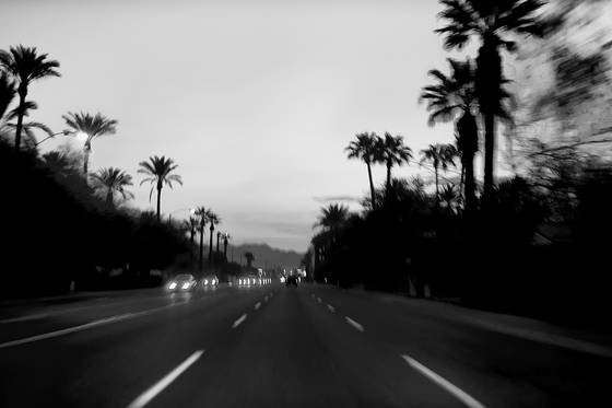 Headlights_and_palms