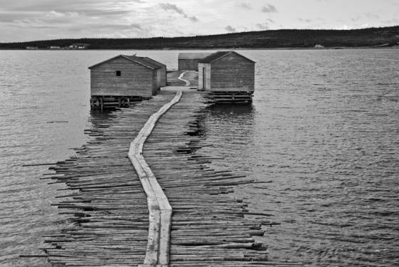 Untitled_2