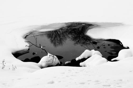 Frozen_in_time