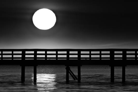 Lonely_sunset
