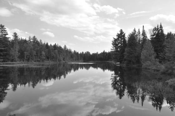 Reflection