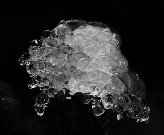 Clear_spirit_no__6