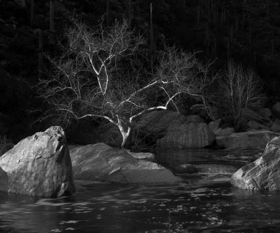 Sabino_canyon
